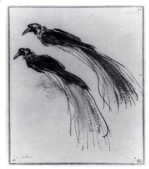 Rembrandt - Two Studies Of A Bird Of Paradise