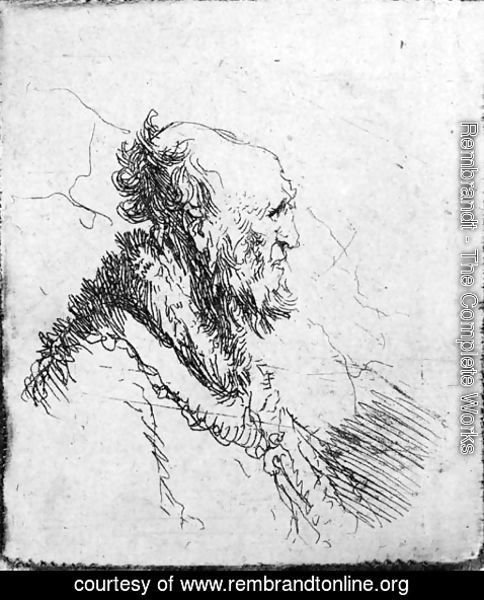 Rembrandt - A bald old Man with a short Beard, in Profile Right