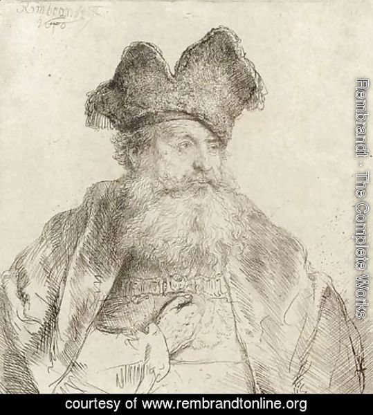 An old Man with a divided Fur Cap