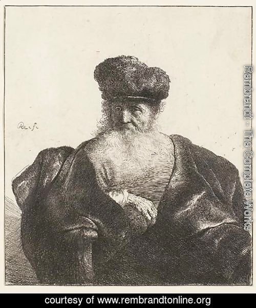 An old Man with Beard, Fur Cap, and Velvet Coat