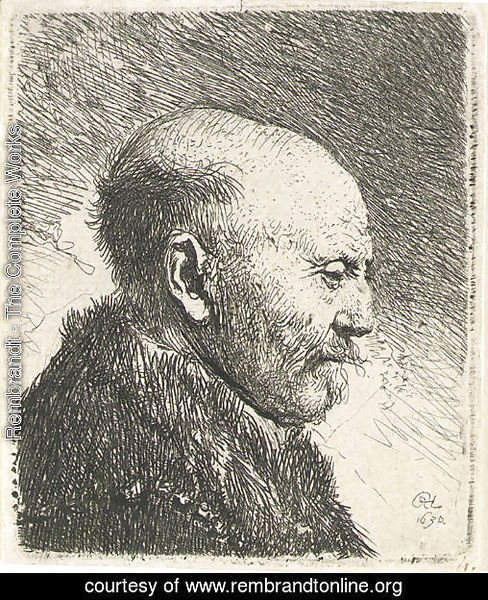 Bald-headed man in Profile Right; The Artist's Father