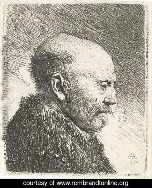 Rembrandt - Bald-headed man in Profile Right; The Artist's Father