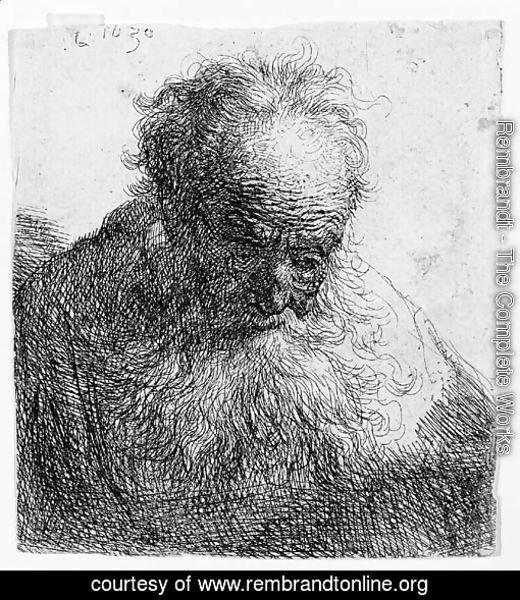 Bust of an old Man with a flowing Beard The Head bowed forward