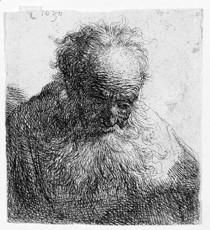 Rembrandt - Bust of an old Man with a flowing Beard The Head bowed forward