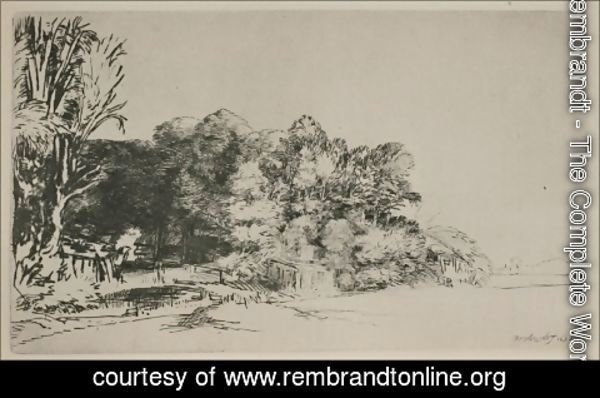 Rembrandt - Clump of Trees with a Vista