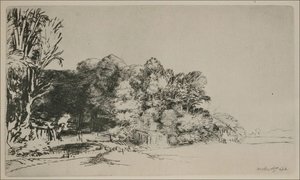 Rembrandt - Clump of Trees with a Vista