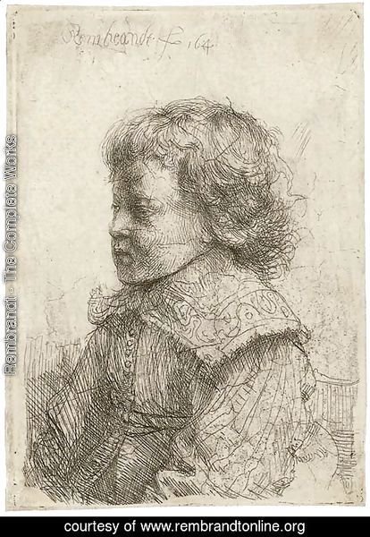 Portrait of a Boy, in Profile