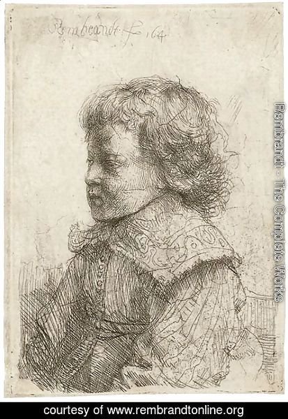 Rembrandt - Portrait of a Boy, in Profile