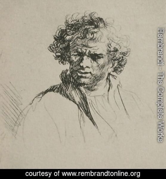 Rembrandt - A Man with Curly Hair