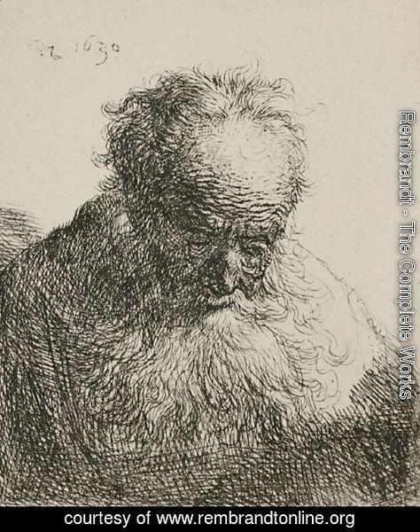 Rembrandt - An Old Man with a Large Beard