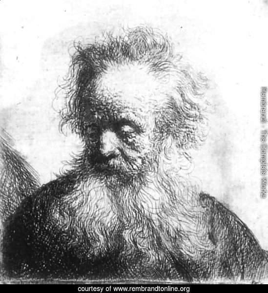 Old Man With Flowing Beard Looking Down Left 1631