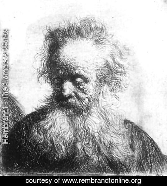 Rembrandt - Old Man With Flowing Beard Looking Down Left 1631