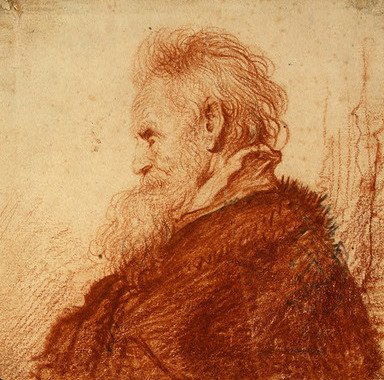 Head of an Old Man 2