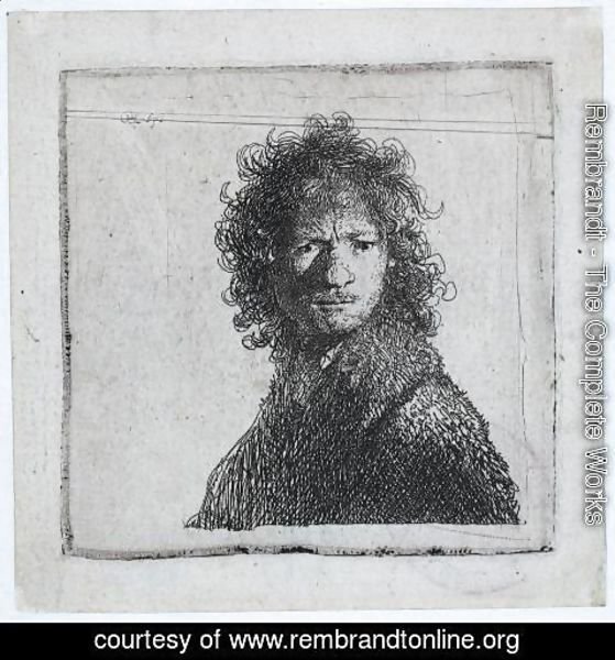 Rembrandt - Self Portrait, Frowning