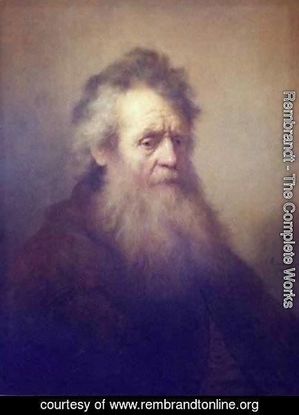 Rembrandt - Portrait of an Old Man 3