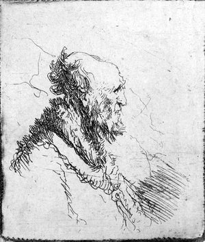 A bald old Man with a short Beard, in Profile Right