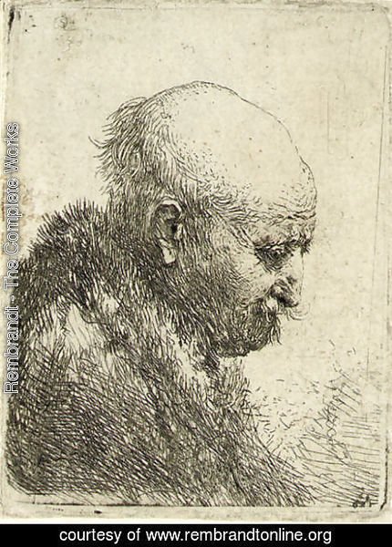 Rembrandt - A bald-headed Man in Profile right