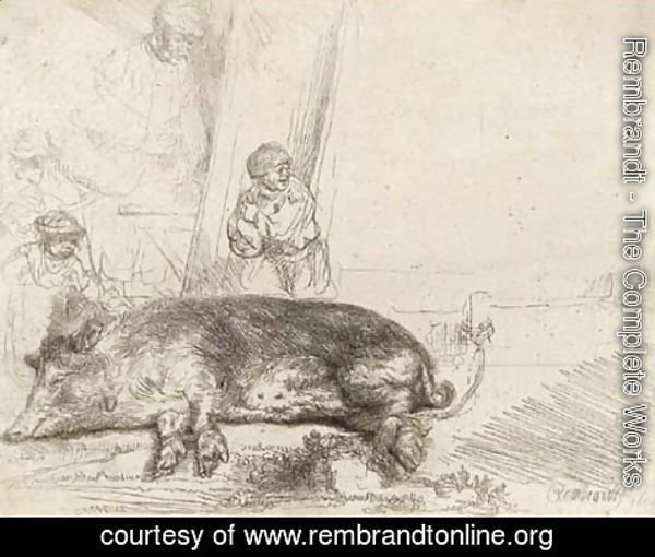 Rembrandt - A Hog
