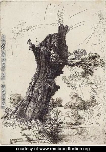 Rembrandt - Saint Jerome beside a Pollard Willow