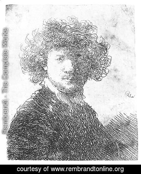 Rembrandt - Self Portrait With Curly Hair And White Collar Bust 2