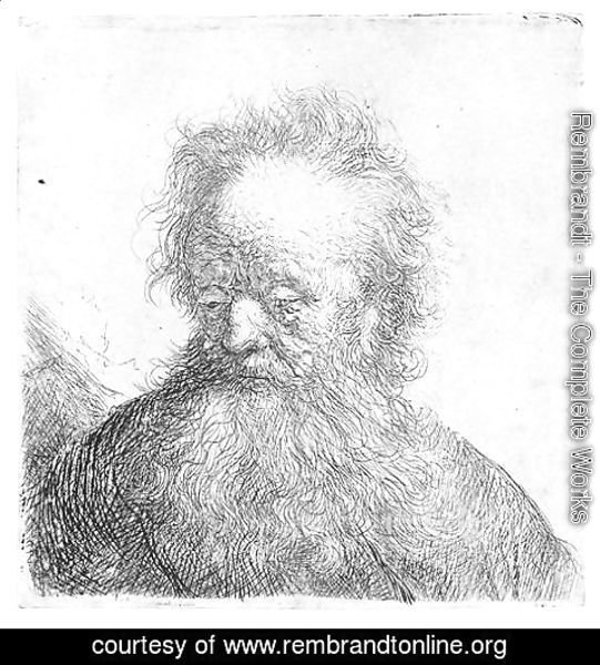 Rembrandt - Old Man With A Flowing Beard Bust