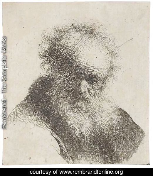 Bust Of An Old Man With Flowing Beard And White Sleeve