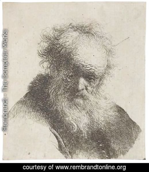 Rembrandt - Bust Of An Old Man With Flowing Beard And White Sleeve