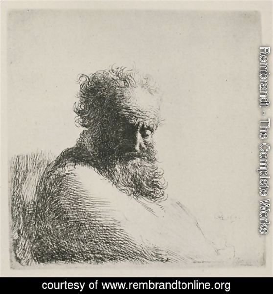 Rembrandt - Bust Of An Old Bearded Man, Looking Down, Three Quarters Right