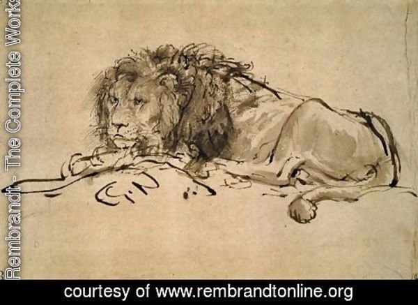 Rembrandt - Lion Resting