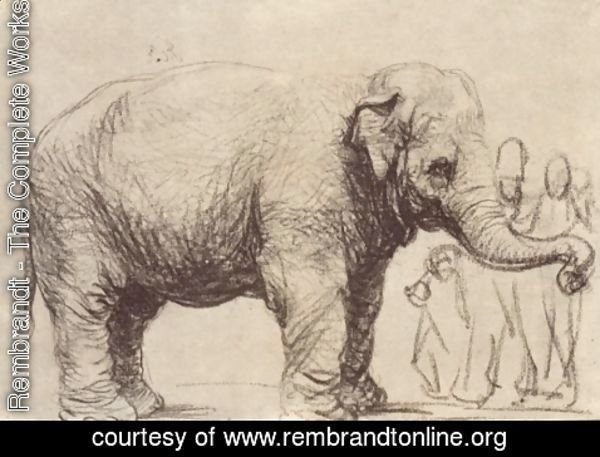 Rembrandt - An Elephant