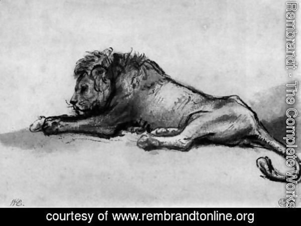 Rembrandt - Lion resting 2