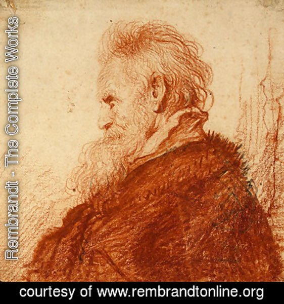 Rembrandt - Head of an Old Man 2