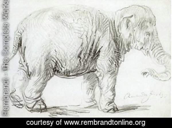 Rembrandt - Hansken
