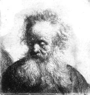 Rembrandt - Old Man With Flowing Beard Looking Down Left 1631