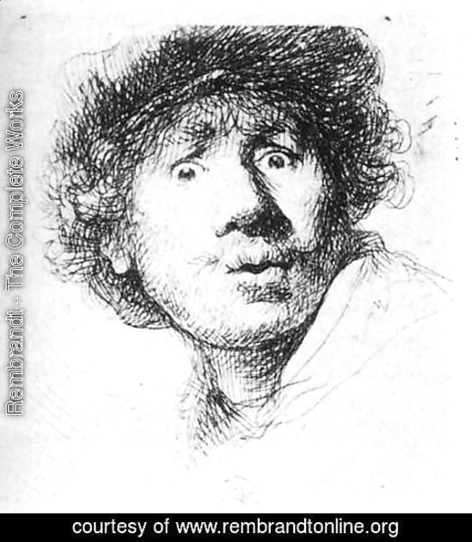 Rembrandt - Self-Portrait, Staring 1630